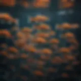 A school of fish swimming in a synchronized pattern.