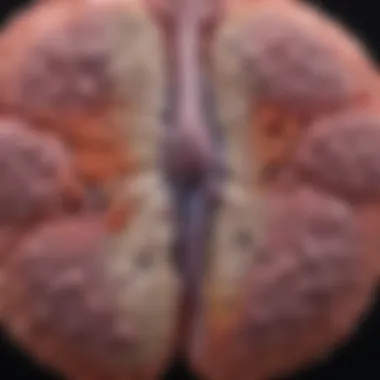 Graph showcasing risk factors associated with squamous cell lung cancer