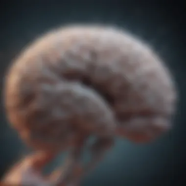 Brain Activity During Olfactory Aura Illustration of brain activity during an olfactory aura preceding a seizure