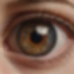 Detailed examination of the eye anatomy