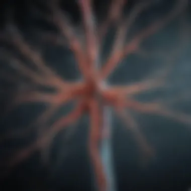 Visual representation of the nervous system's role in Parkinson's Disease