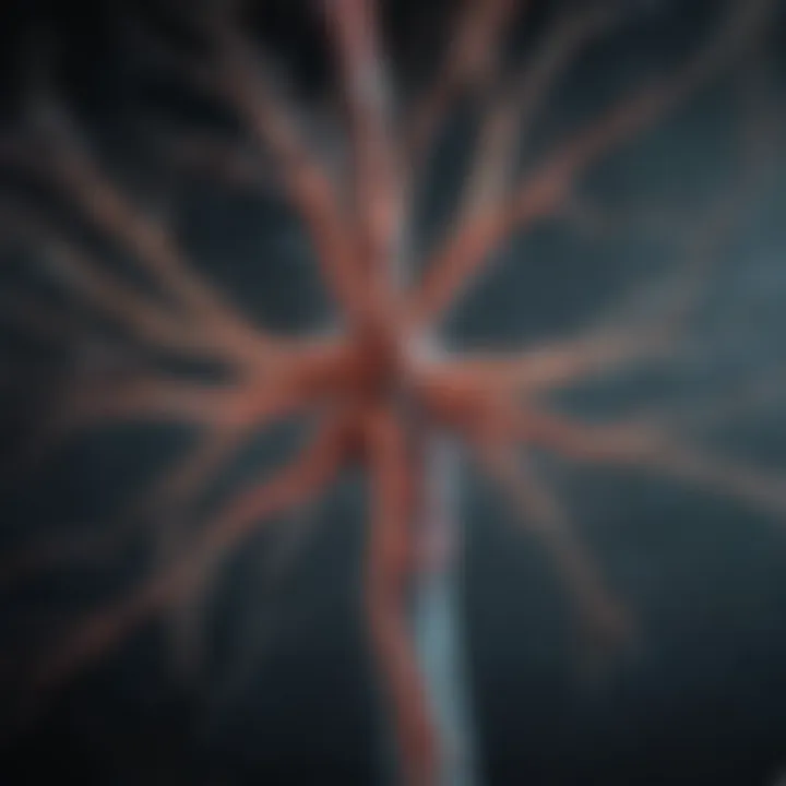 Visual representation of the nervous system's role in Parkinson's Disease