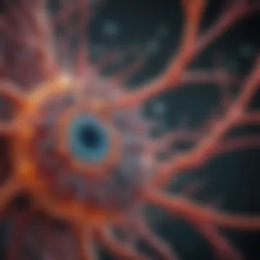 Mechanisms of actin polymerization in cellular structures