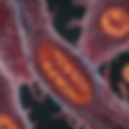 Detailed view of prostate cancer tissue under a microscope
