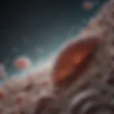Innovative therapeutic approaches in prostate cancer