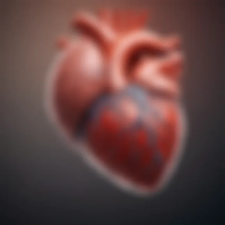 Close-up of a heart model illustrating cardiovascular health