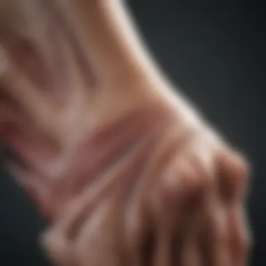 Rehabilitation for Tendon Recovery Rehabilitation exercises for tendon recovery