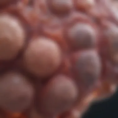 Visual representation of diagnostic techniques for metastatic renal carcinoma