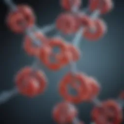 Molecular structure of RNA stabilizers