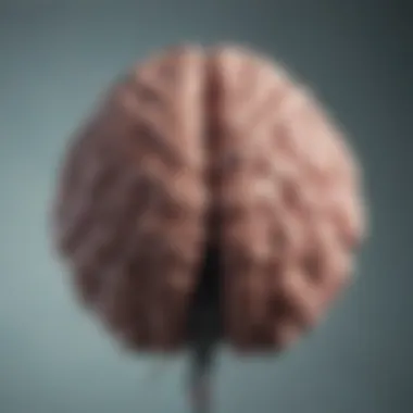 Brain Activity During Bipolar Mania Bipolar mania brain activity