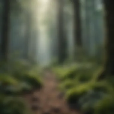 Forest Biodiversity A lush forest showcasing diverse flora and fauna