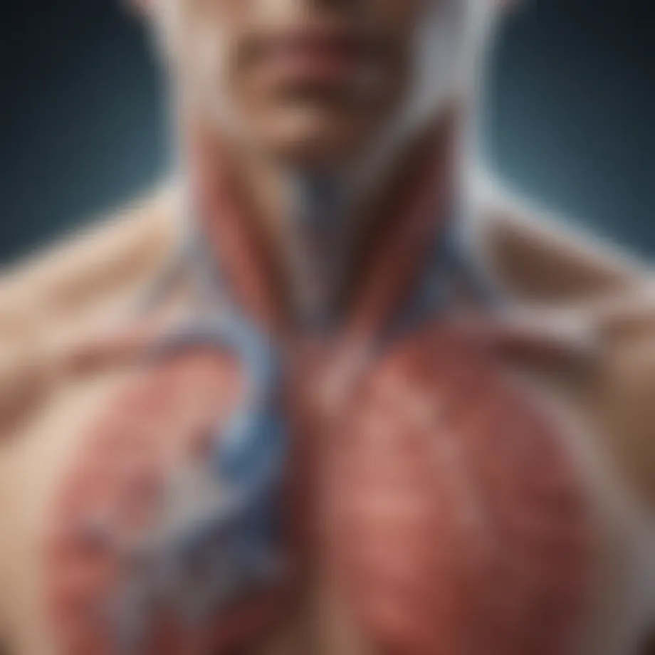 Illustration depicting respiratory pathways affected by RSV