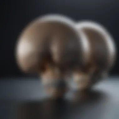 Revolutionary Materials in Hip Implants New materials used in hip implant design
