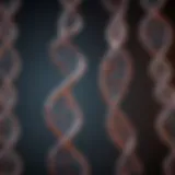 Illustration of DNA structure highlighting inheritance patterns