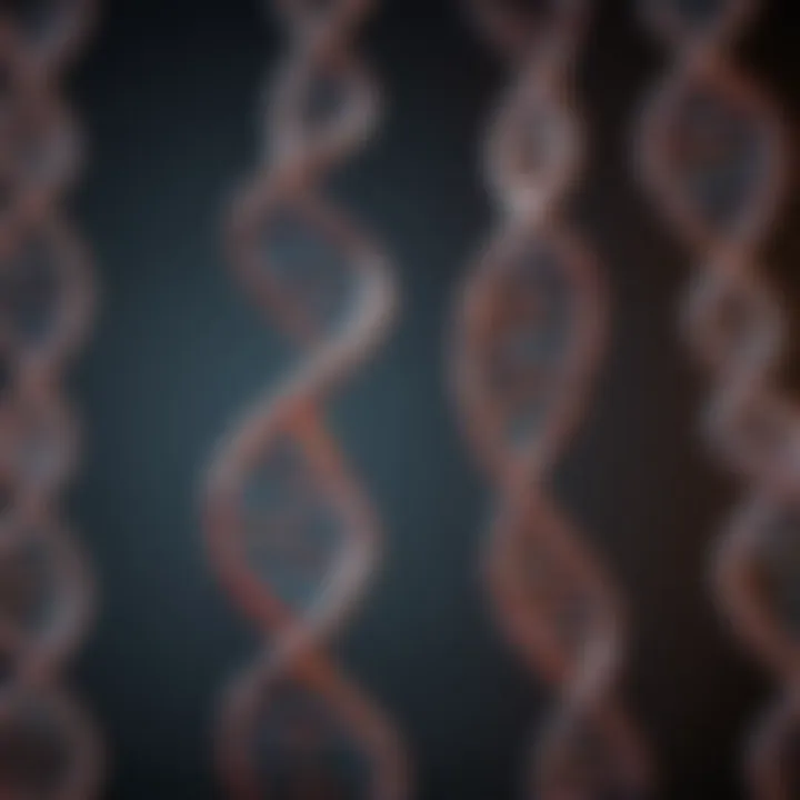 Illustration of DNA structure highlighting inheritance patterns
