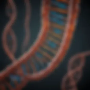 Mitochondrial DNA Transmission Visual representation of mitochondrial DNA transmission