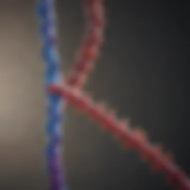 X and Y Chromosomes in Genetic Inheritance Diagram depicting X and Y chromosomes in genetic inheritance