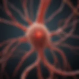 Neuronal pathways illustrating inflammation signals