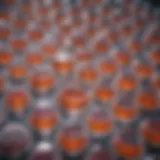 A complex array of cell cultures in a laboratory setting