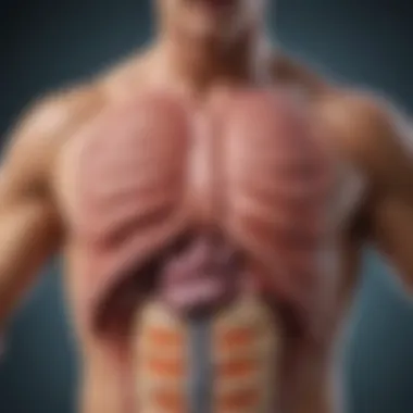 Role of Cholecystokinin in Digestion Diagram showing the role of Cholecystokinin in digestive processes