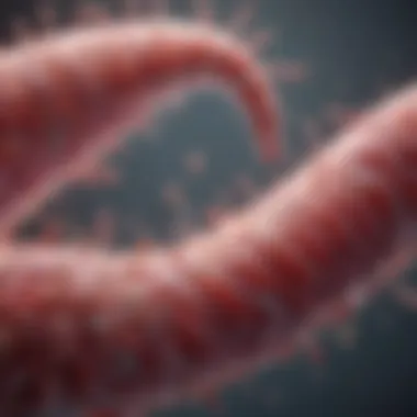 Research Findings on Probiotics Research graph indicating probiotic effects