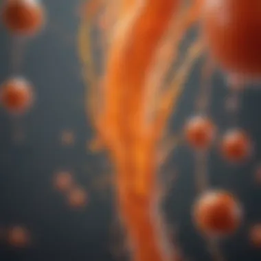 Collagen Synthesis and Vitamin C Collagen synthesis process