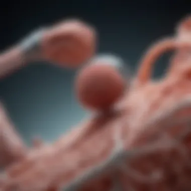 Unveiling the Mechanisms of Action of Ticagrelor Mechanisms of action of ticagrelor