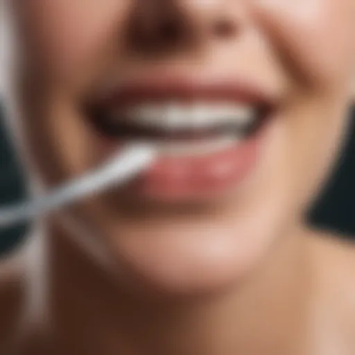 Illustration of toothpaste ingredients beneficial for gum health