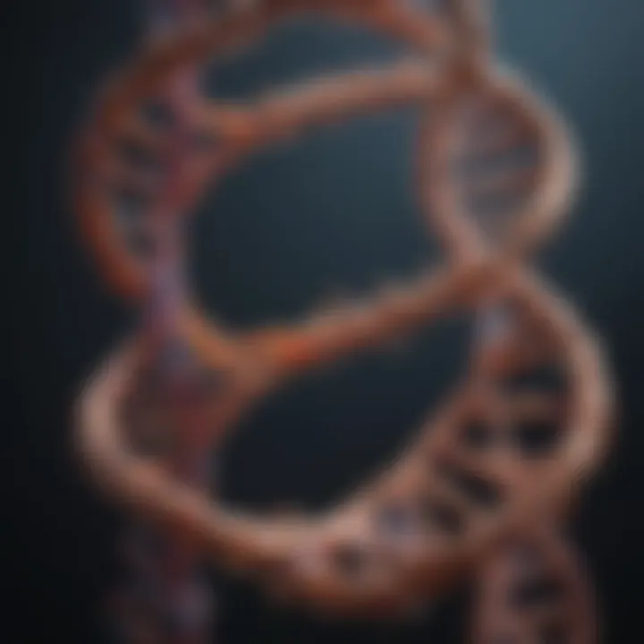 Molecular structure of DNA highlighting base pairs