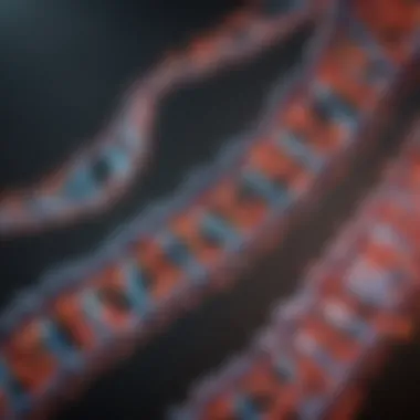 Visual representation of mRNA modifications after transcription
