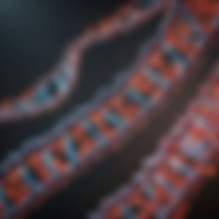 Visual representation of mRNA modifications after transcription