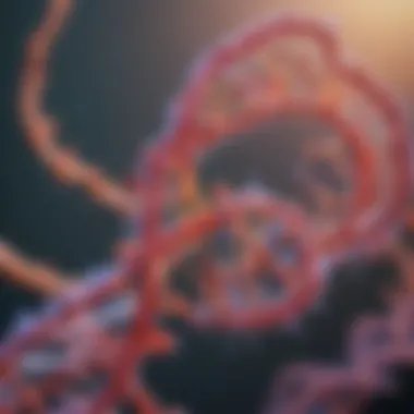 RNA Polymerase: The Catalyst of Gene Expression Diagram illustrating the role of RNA polymerase in transcription