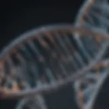 Detailed representation of DNA structure