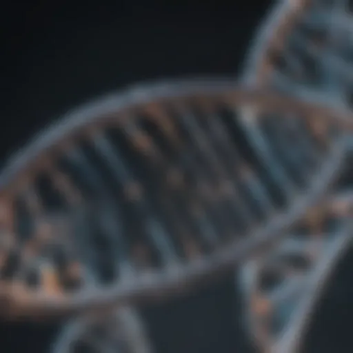 Detailed representation of DNA structure