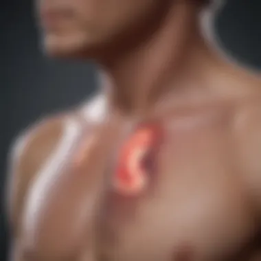 Treatment Options Explained Visual representation of treatment options for lung cancer and COPD