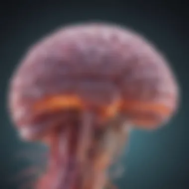 Pathways of Metastasis in Triple Negative Breast Cancer Diagram illustrating the pathways of TNBC metastasis to the brain
