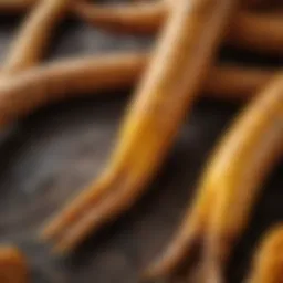 Close-up of turmeric roots showcasing their vibrant yellow color and texture