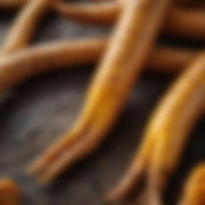 Close-up of turmeric roots showcasing their vibrant yellow color and texture