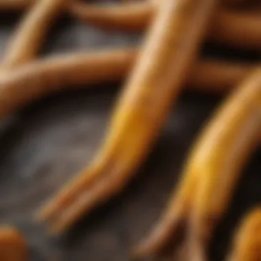 Turmeric Roots: Nature's Golden Healer Close-up of turmeric roots showcasing their vibrant yellow color and texture