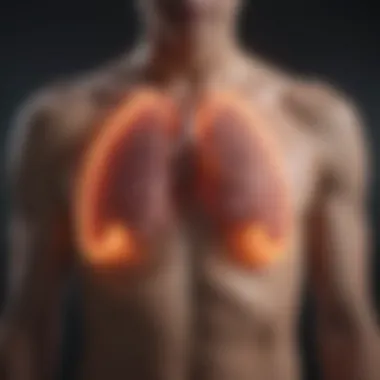 Treatment Options for Lung Cancer Chart showing treatment options for lung cancer