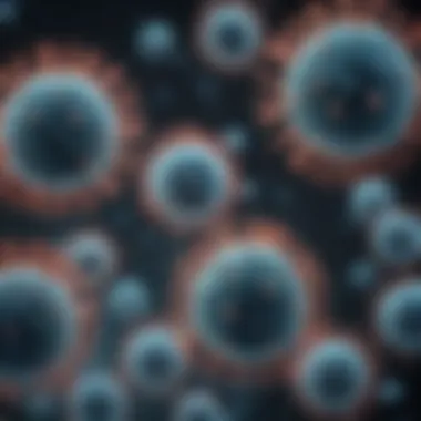 Adeno-Associated Viruses in Gene Therapy Diagram illustrating the features of adeno-associated viruses and their applications.