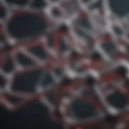 Molecular structure of UHMWPE showing its high molecular weight and crystalline regions