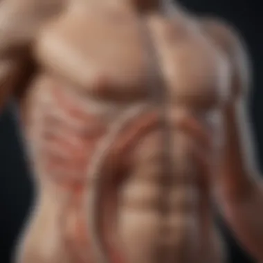 Illustrating the Transmission Routes of Abdominal Parasites Transmission routes of parasites