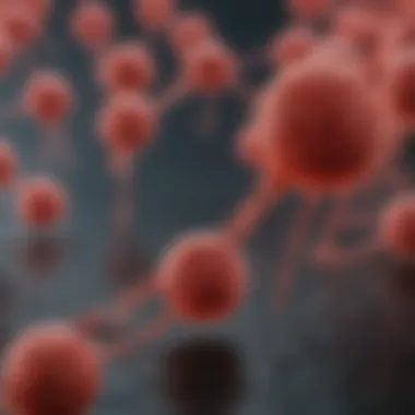 Genetic Markers and Prognosis in B Cell Lymphoma Visual representation of the role of genetic markers in prognosis
