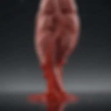 Impact of Lifestyle Choices on Blood Clot Risk Research findings on the relationship between lifestyle choices and blood clot risk