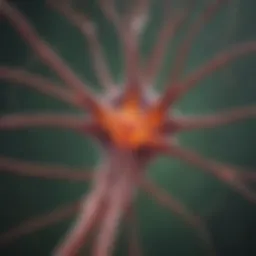Illustration depicting the structure of lymphatic system and its role in lymphomas