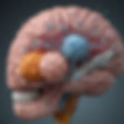 Diagram illustrating the pharmacological actions of carbidopa and levodopa in the brain.