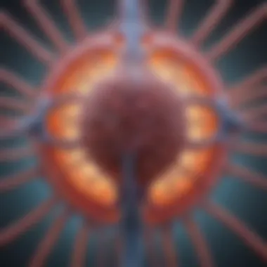 Illustration of chlamydia transmission pathways