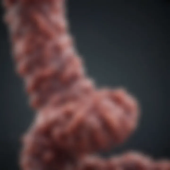 Chart displaying advancements in colon cancer treatment and prevention