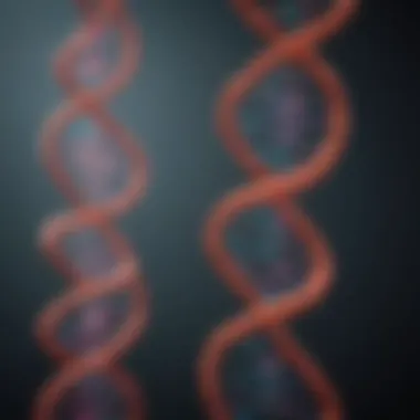 Applications of DNA Annealing Buffers in Molecular Biology Flowchart depicting applications of DNA annealing buffers in molecular techniques